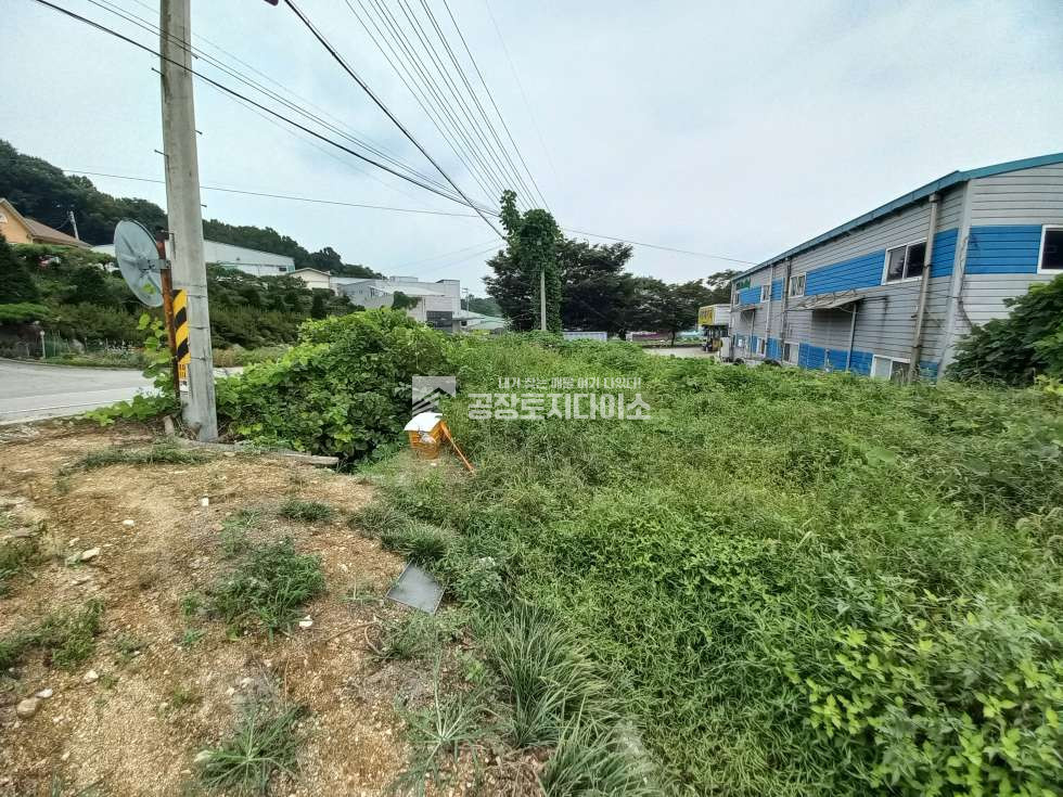 경기 화성만세구 양감면 대양리 2차선 도로변 계획관리지역 산업관리 토지 매매 매매 매물번호 10827 사진 2