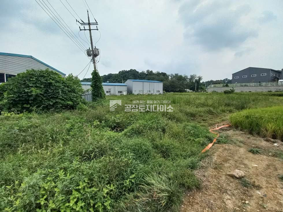 경기 화성만세구 양감면 대양리 2차선 도로변 계획관리지역 산업관리 토지 매매 매매 매물번호 10827 사진 3