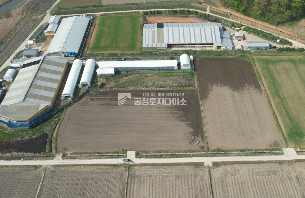 경기 화성만세구 장안면 장안리 농업진흥구역 대형평수 토지 매매 매매 매물번호 10211 사진 1