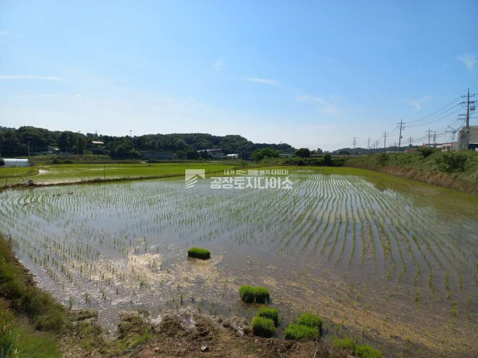 경기 화성만세구 팔탄면 월문리 농업진흥구역 토지 매매 매매 매물번호 10210 사진 1